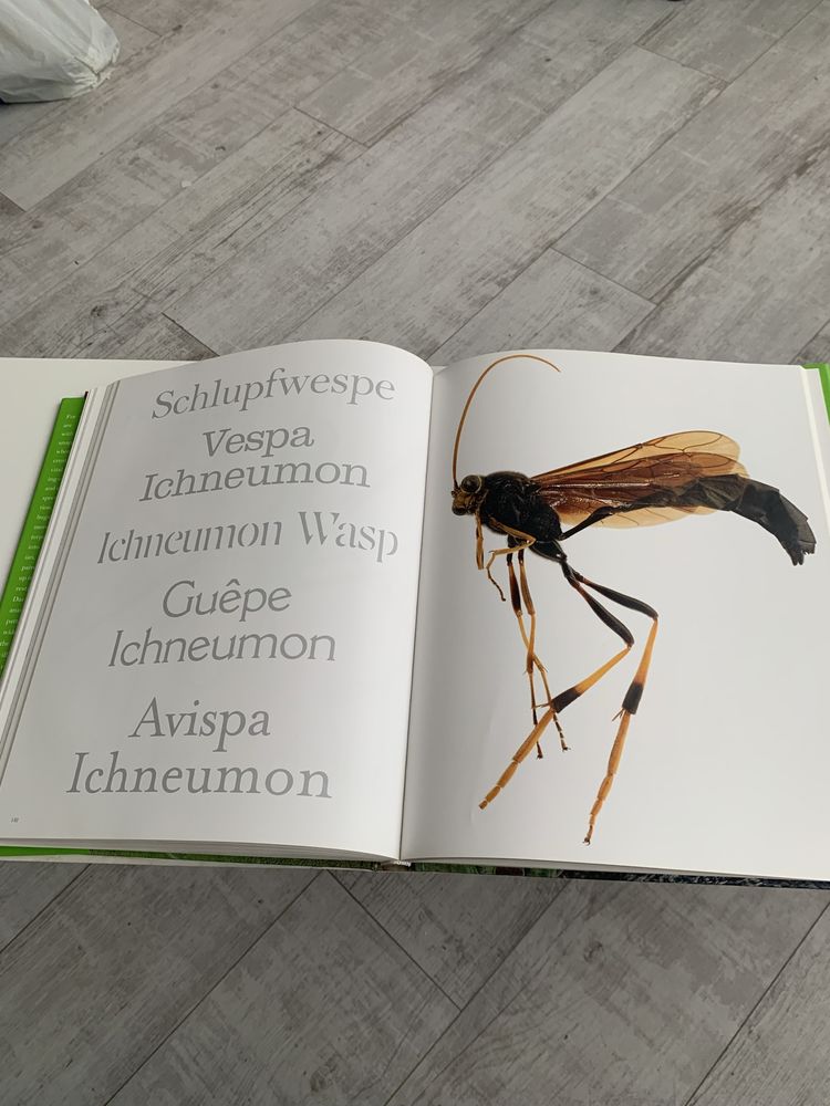 Insecta - книга-фотоальбом про комах