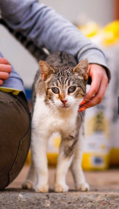 Przesłodka Lalka do adopcji