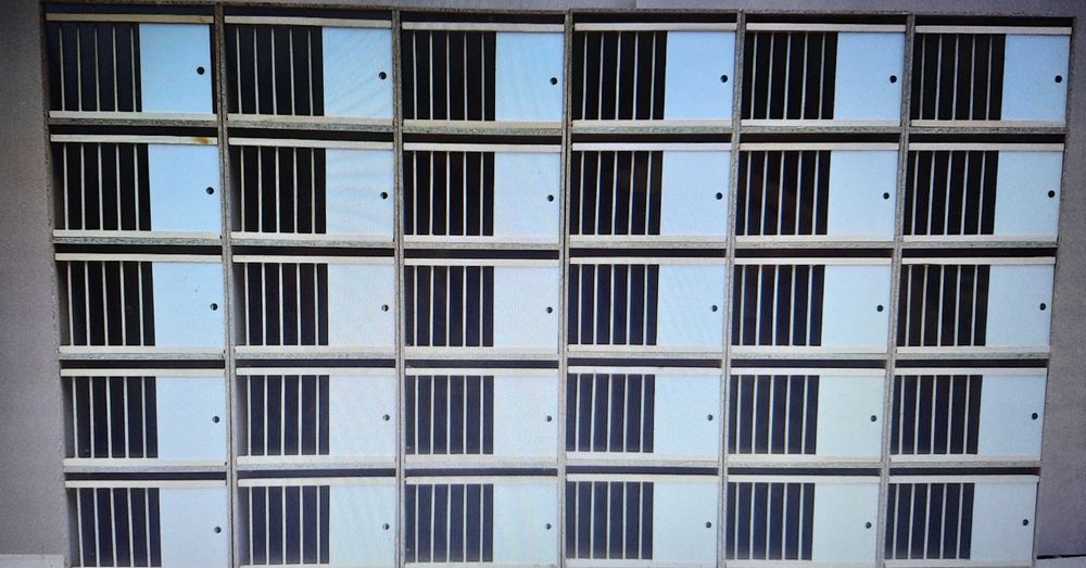 Cele lęgowe półki dla gołębi