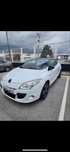 Renault megane bose