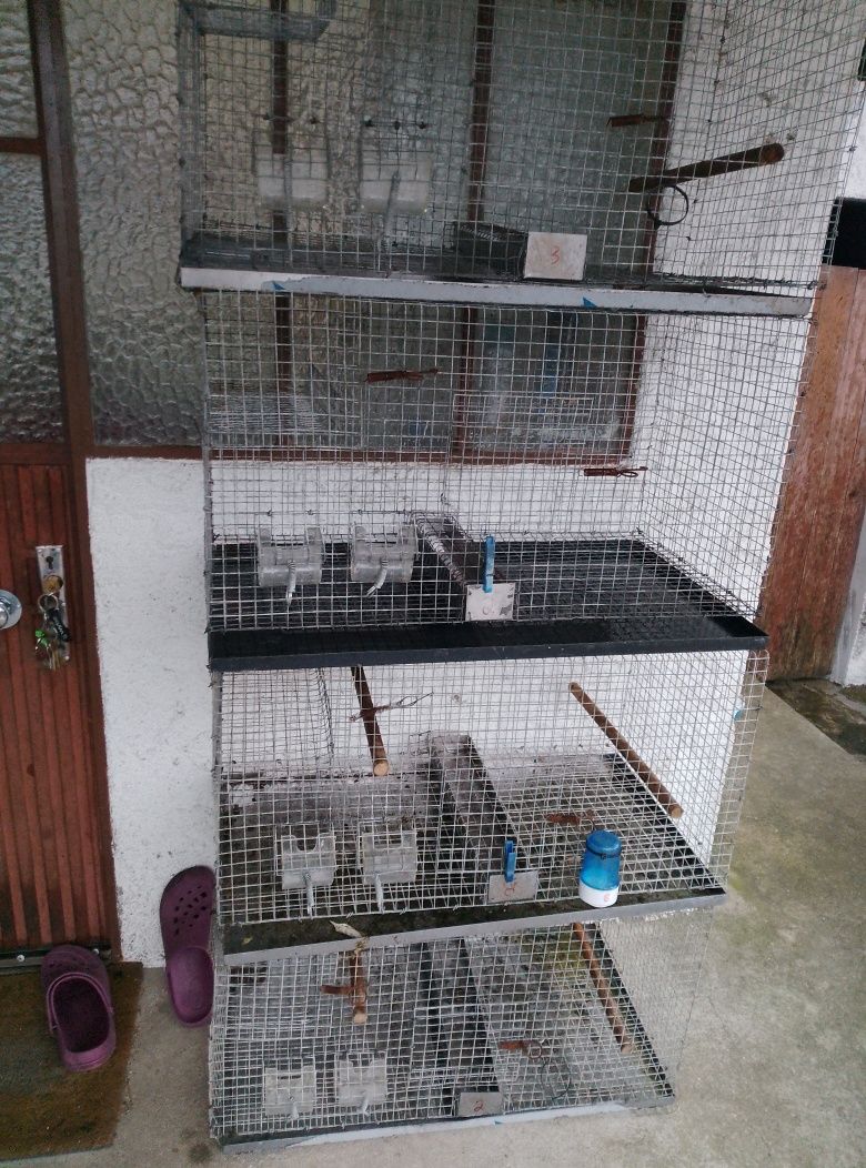 Várias Gaiolas para aves