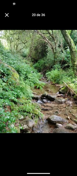 Casa no rio em terreno rústico
