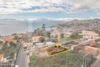 Lote de 520m2 - Quinta do Faial (Sta. Maria Maior) - Funchal