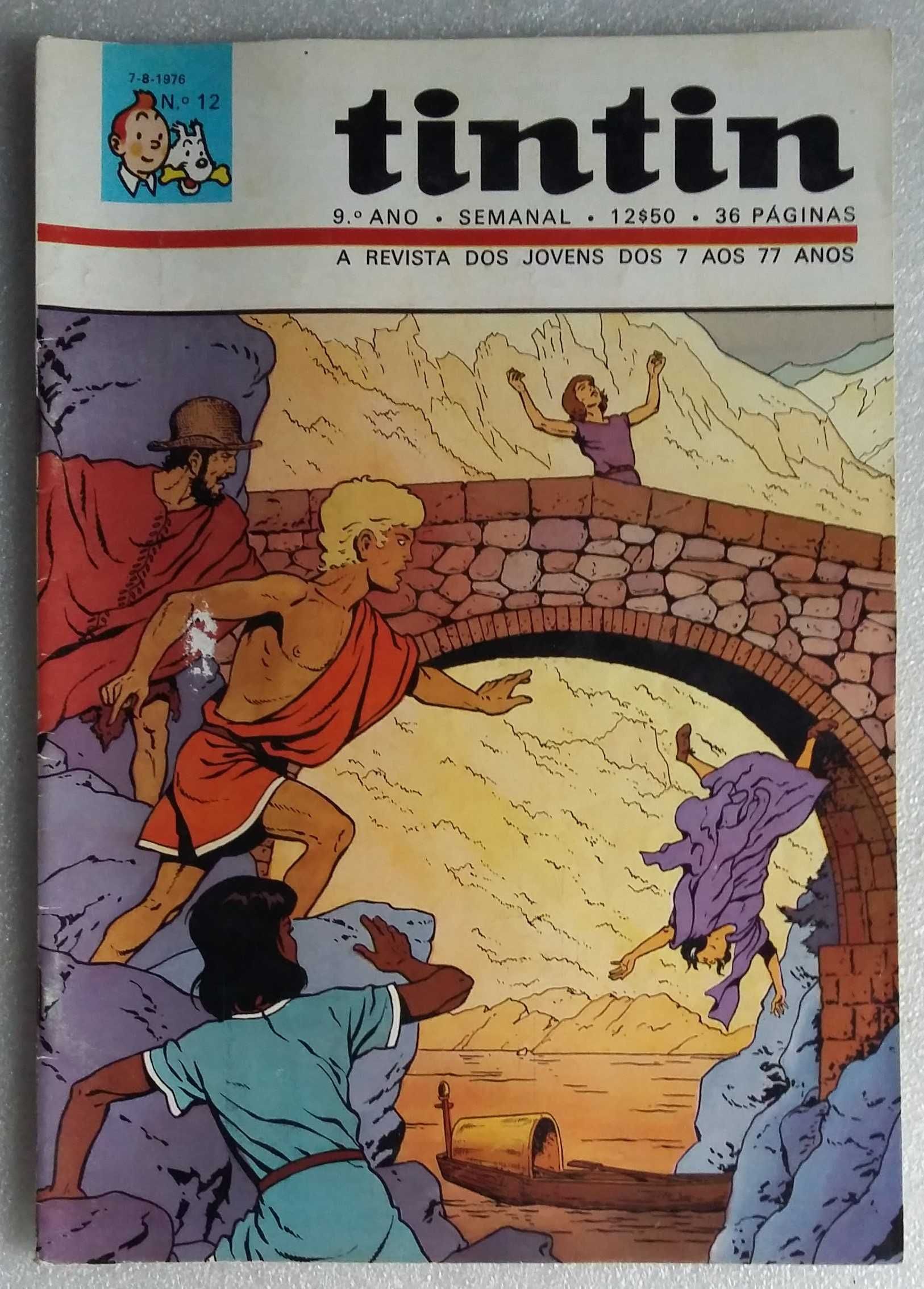 Tintin 9ºAno Nº 12