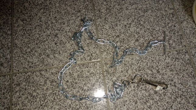 Trela e acessórios para cão