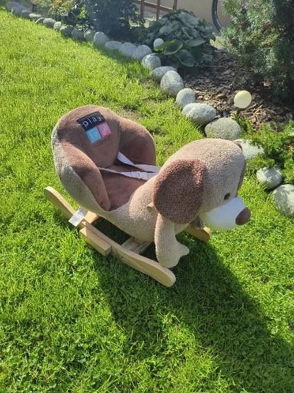 Zwierzak na biegunach