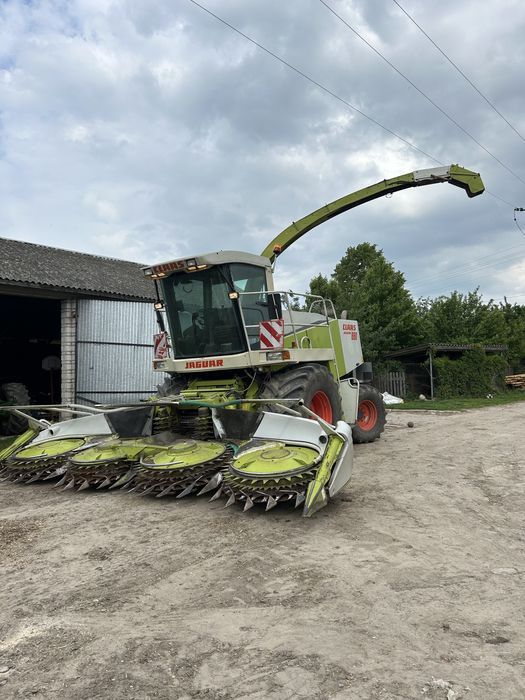 Sieczkarnia kukurydzy claas jaguar 880