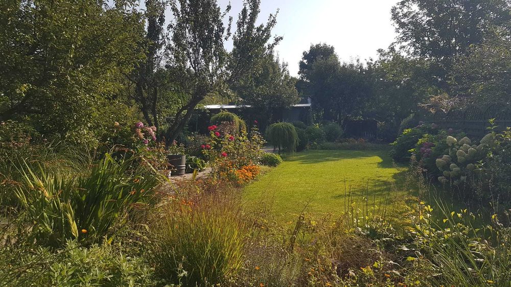 Działka ROD Toruń Wielki Rów Niezapominajka - ZADBANA, PIELĘGNOWANA