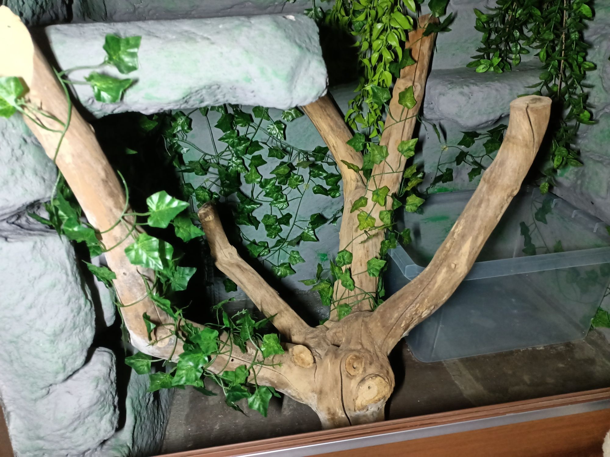 Terrarium z płyty meblowej