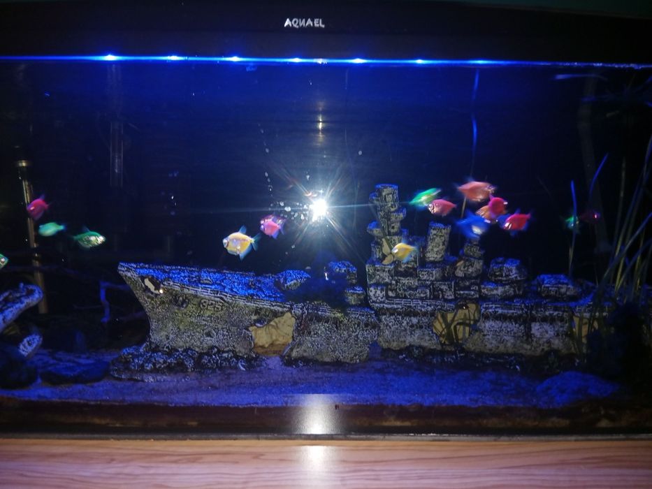 Sprzedam akwarium 300 litrów