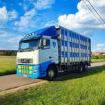Volvo FH 13 do Bydła, Zwierząt, Żywca  3 pokłady nierdzewka. Afryka