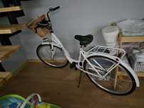 Rower miejski Indiana Moena