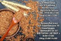 ОБМІН Соняшник,пшениця і тд м. Миргород, с.Велика Багачка