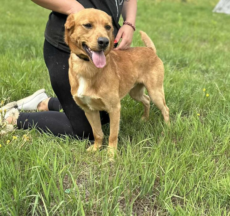 Młody i energiczny chłopak chciałby mieć kochającego opiekuna