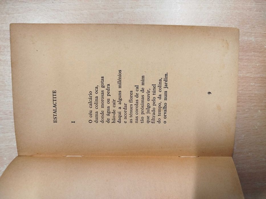 Micropaisagem - Carlos de Oliveira