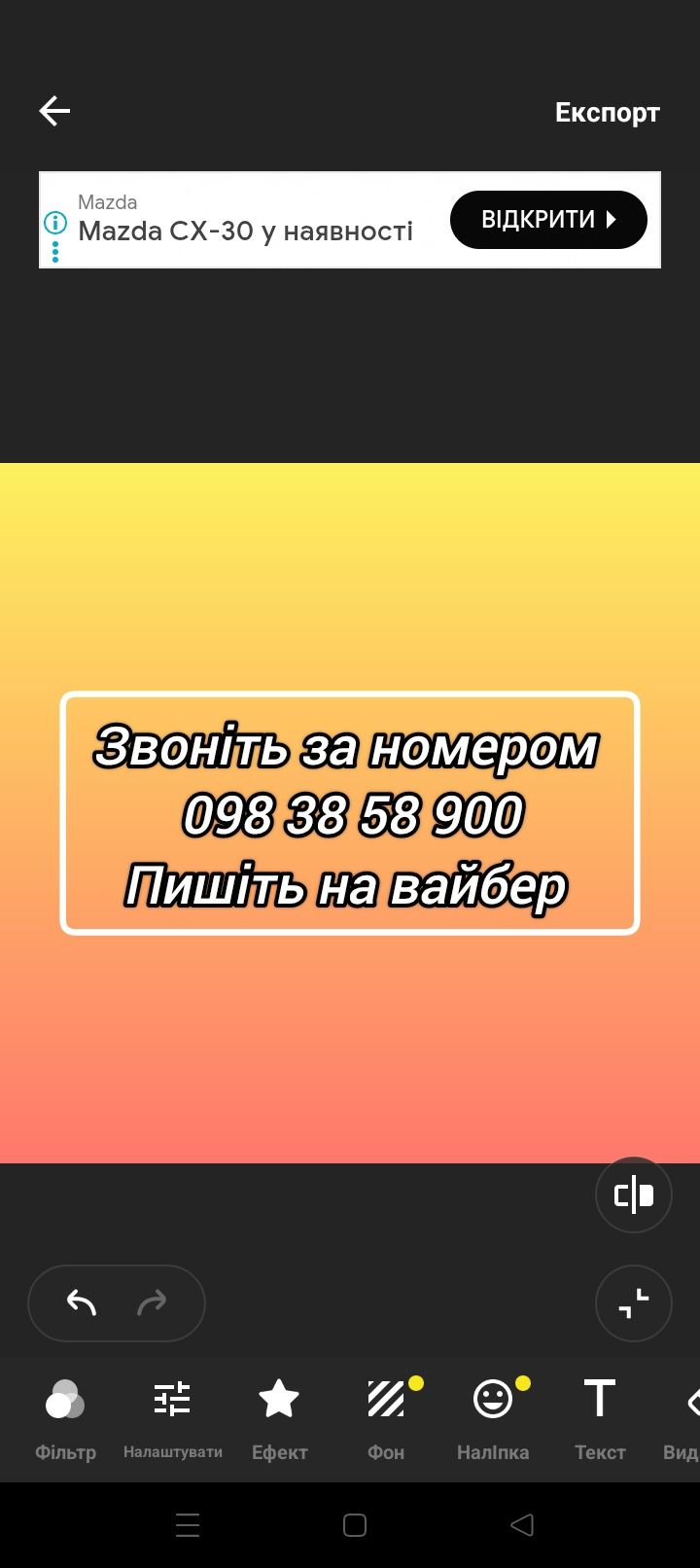 Бензопила Дружба нова , капсула часу