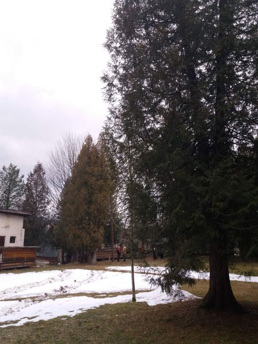 Продам отель, усадьба, база, дом, Верховина, Прикарпатье, Карпаты