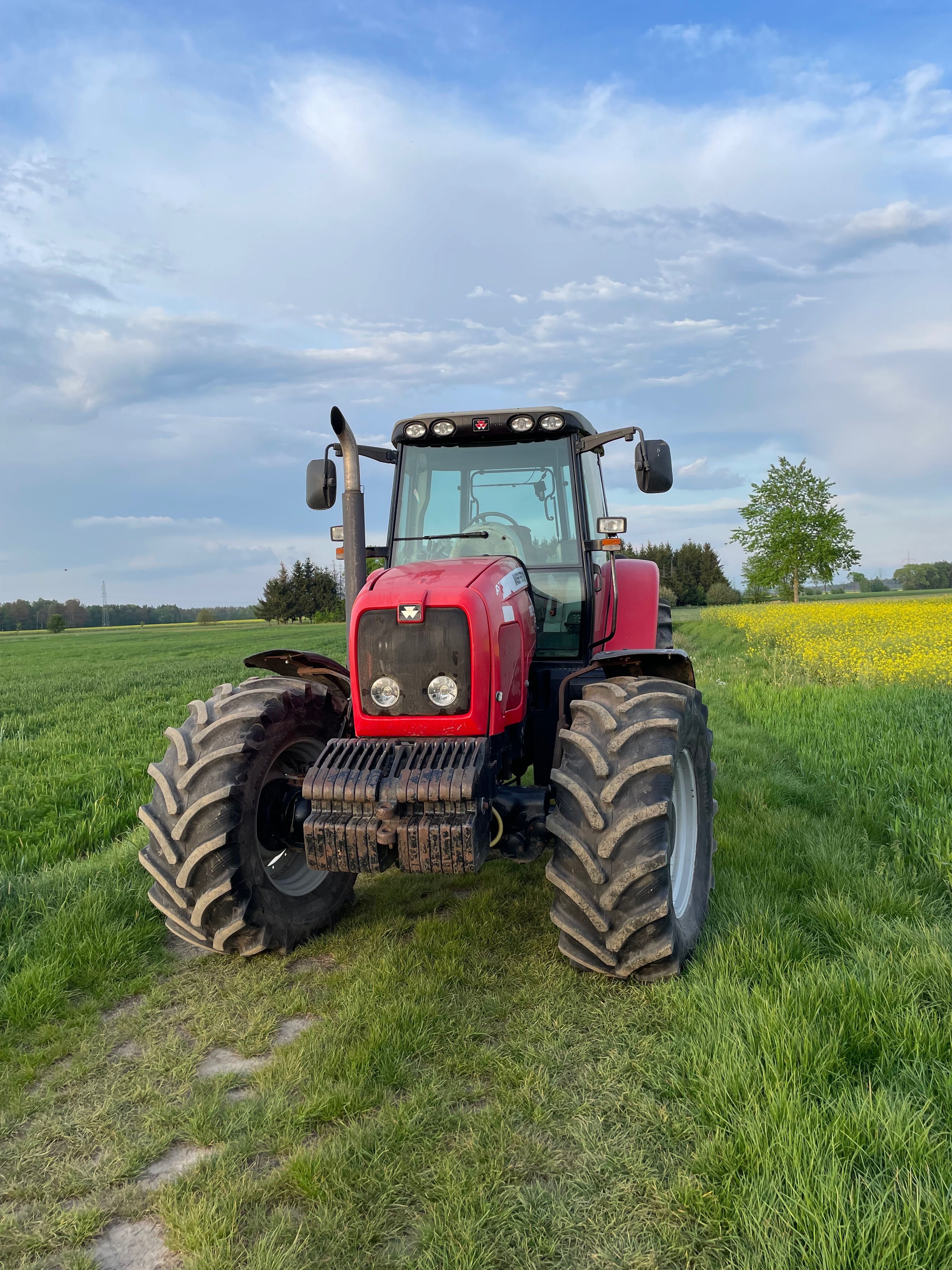 Massey Ferguson 6499