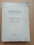 Amieira do antigo priorado do Crato