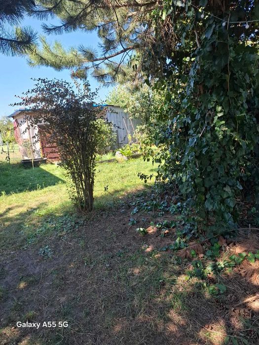 Sprzedam działkę rekreacyjną - Kędzierzyn - Koźle, ROD METALCHEM