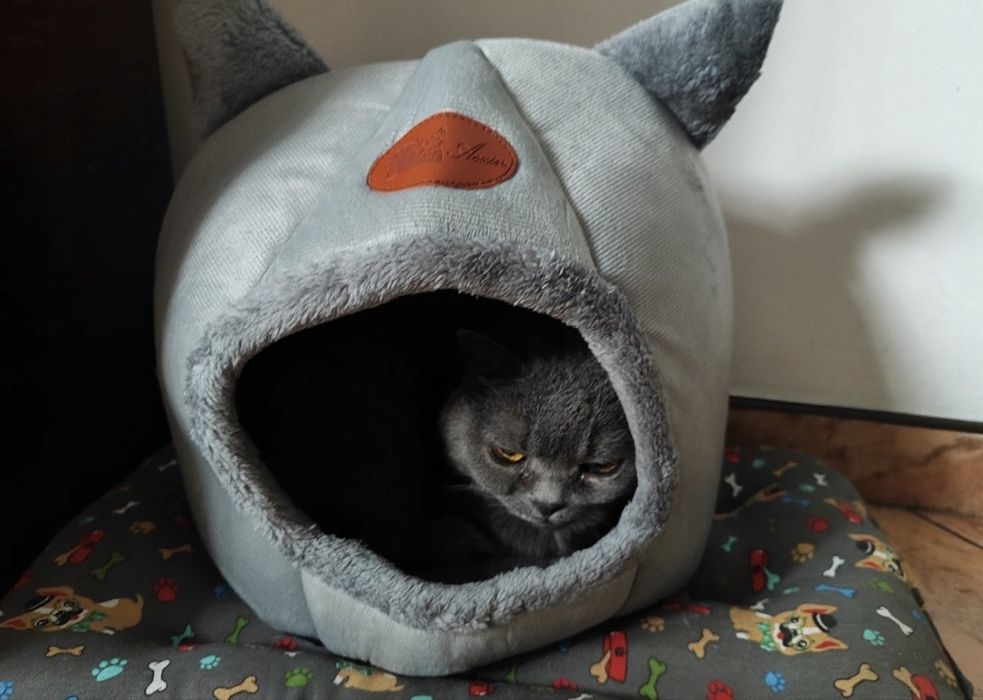 Domek dla Kota Legowisko Buda Kojec Ciepły Pluszowy Akcesoria