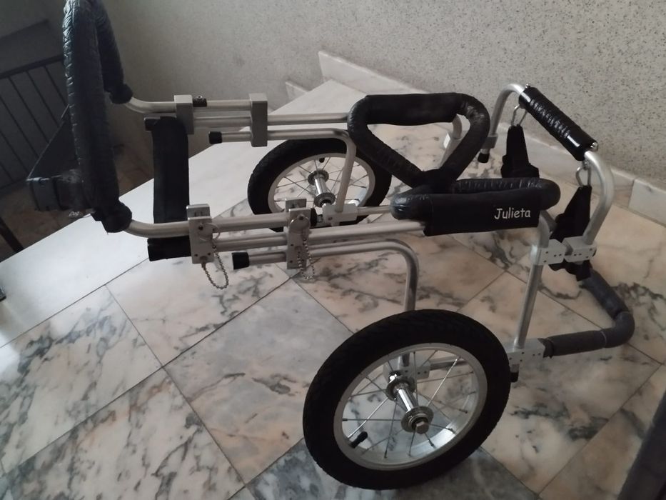 Cadeira de rodas para cão.