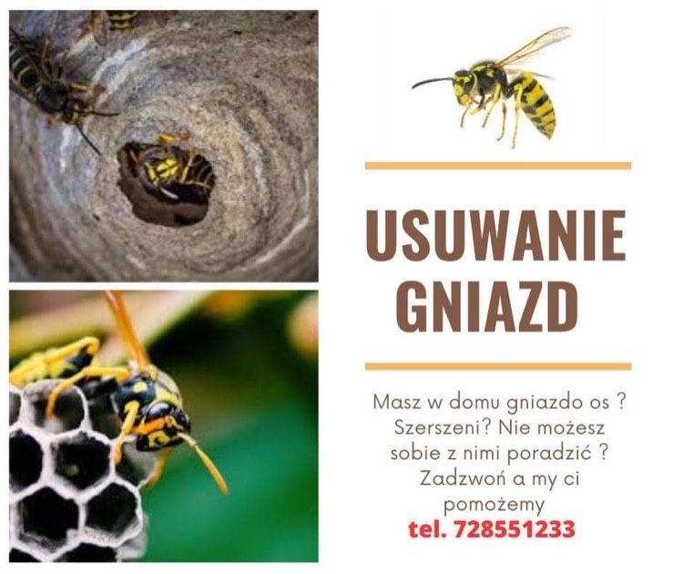 Usuwanie gniazd owadów (pszczoły, osy, szerszenie) oraz przewóz uli