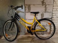Rower damski MTB Activ