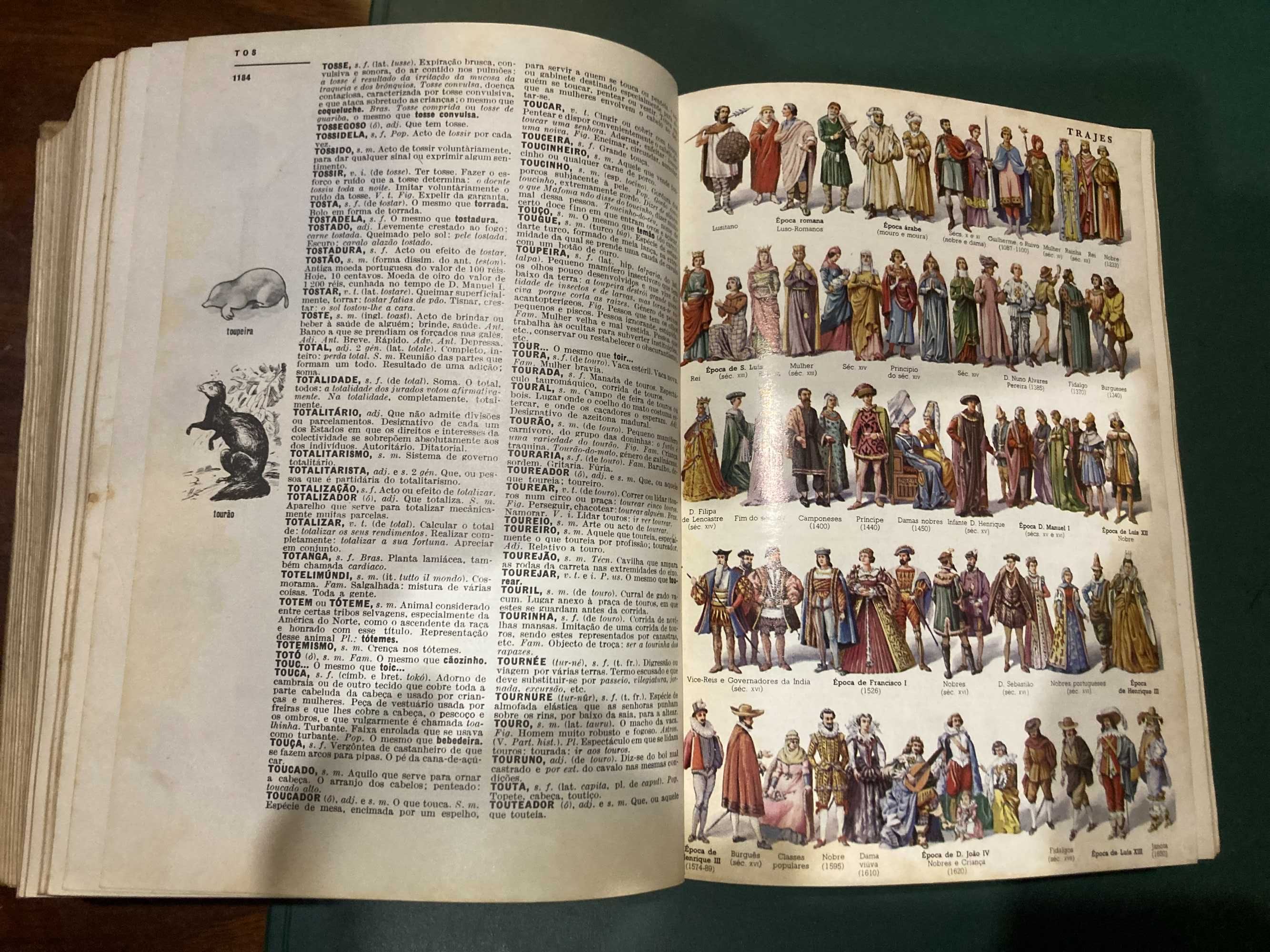 Dicionário Ilustrado Prático da Lello