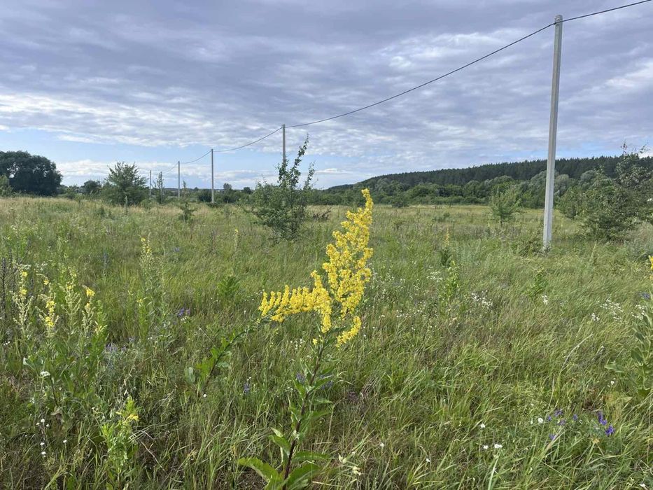 Продаж ділянки 10 соток! Поряд світло! Гарна локація!