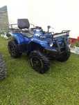 Yamaha grizzly 350