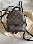 Louis Vuitton Palm Spring Mini