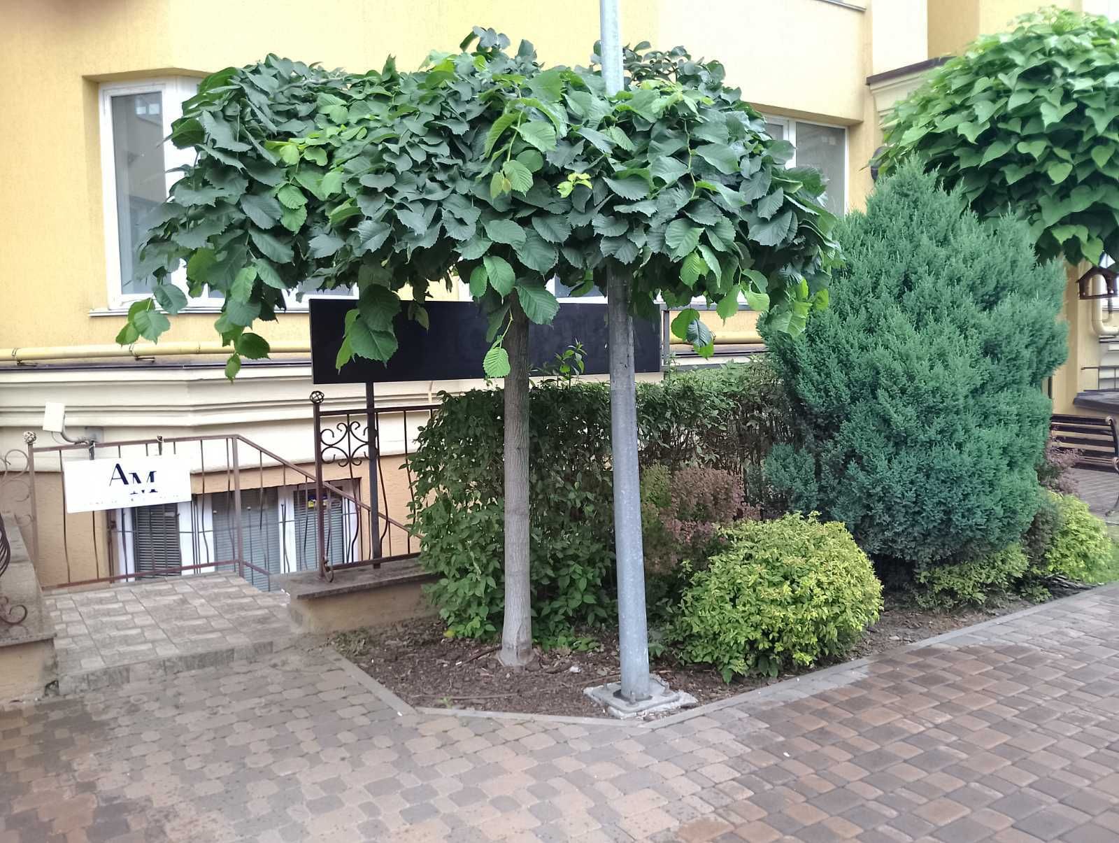 Оренда приміщеня ЖК Софія