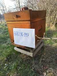 ule pszczoły sprzedam