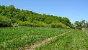Придбайте земельну ділянку в Буланово