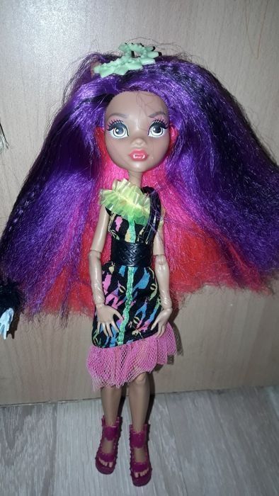 Lalki Clowden Wolf z kolekcji monster high
