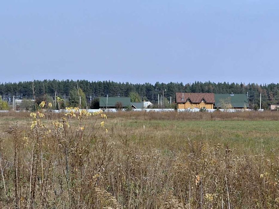 Участок для дома на опушке большого леса Андреевка Бориспольский р-н