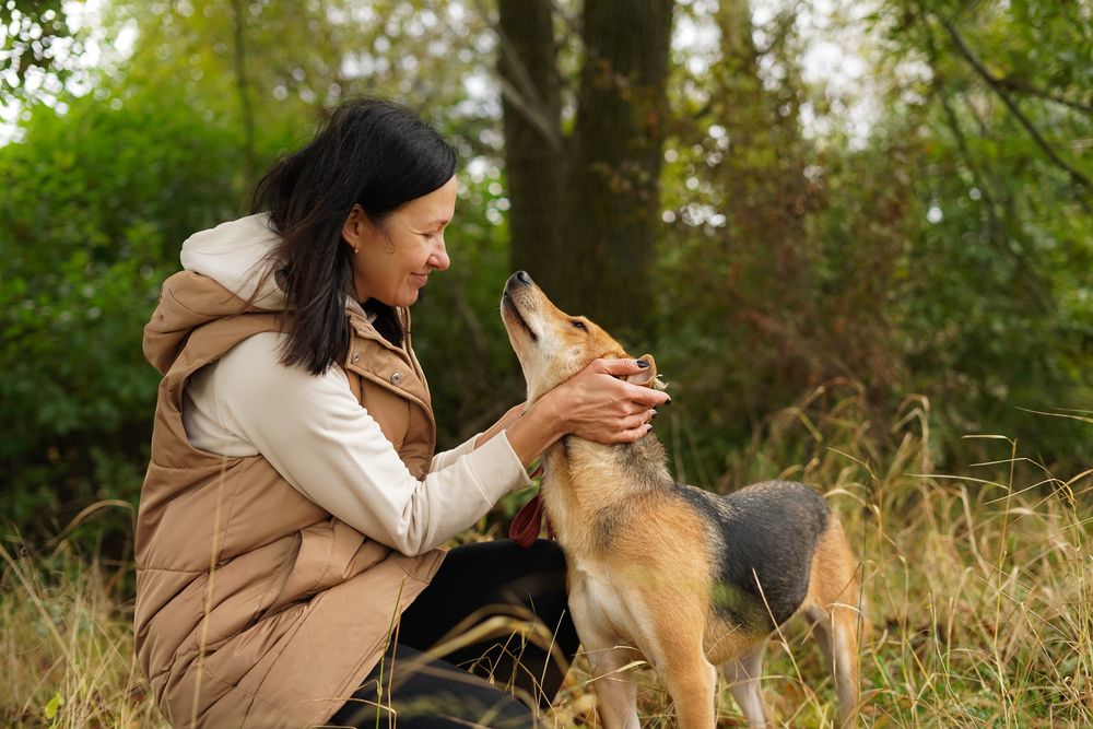 Собака шукає сімʼю в добрі руки