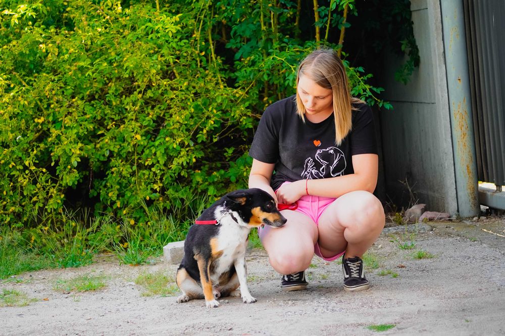 Fiber - uroczy piesek szuka domu