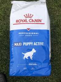 Karma Royalcanin maxi puppy active 20 kg