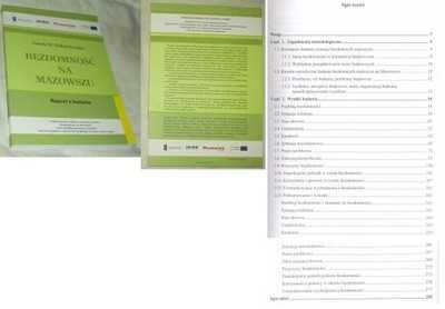 BEZDOMNOŚĆ Bezdomność na Mazowszu : raport z badania  - PIEKUT-BRODZKA