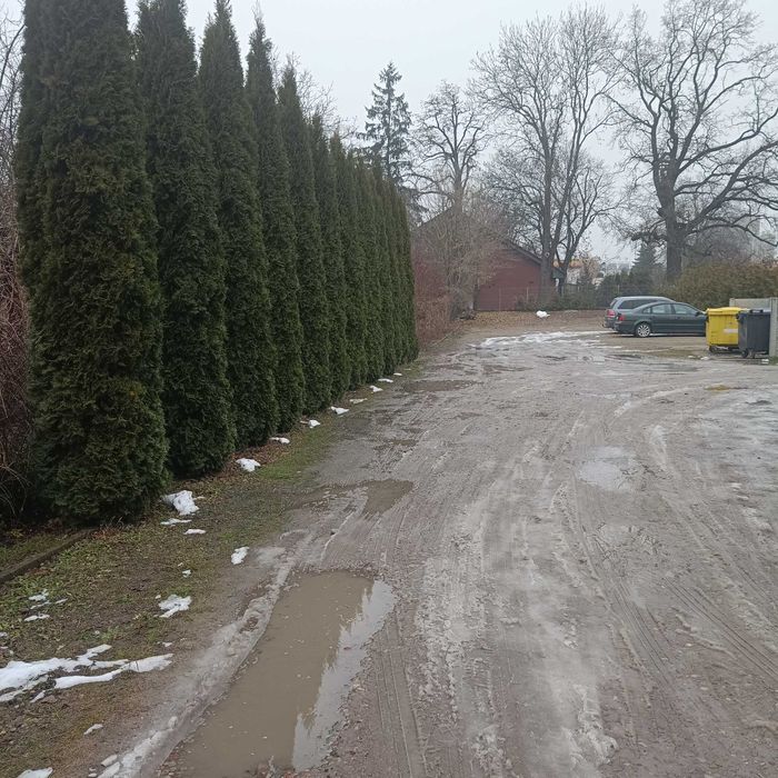 Mieszkanie duże 80m2 lub działalność gosp.