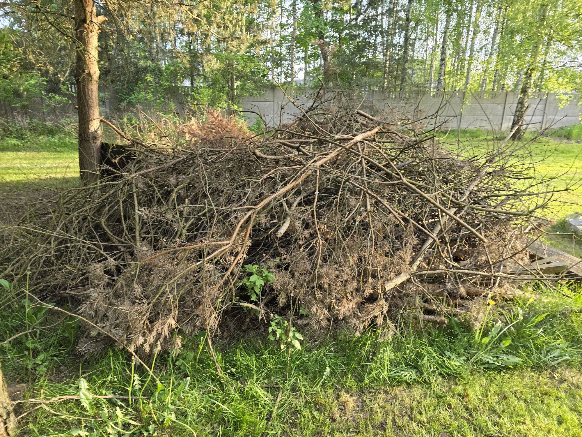 Drewno opałowe,gałęzie
