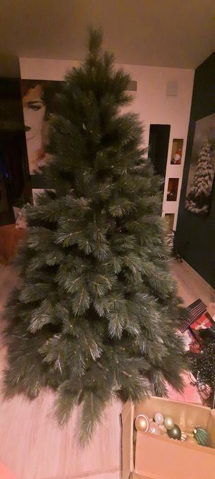 Piękna choinka 2 m