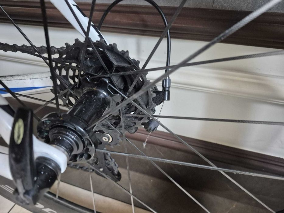 Rower Giant TCR XL