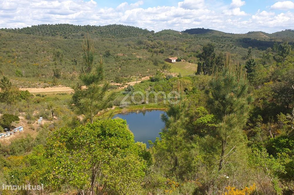 Terreno com 48 ha em Silves junto à barragem