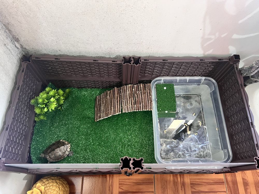 Terrario tartaruga pronto a utilizar