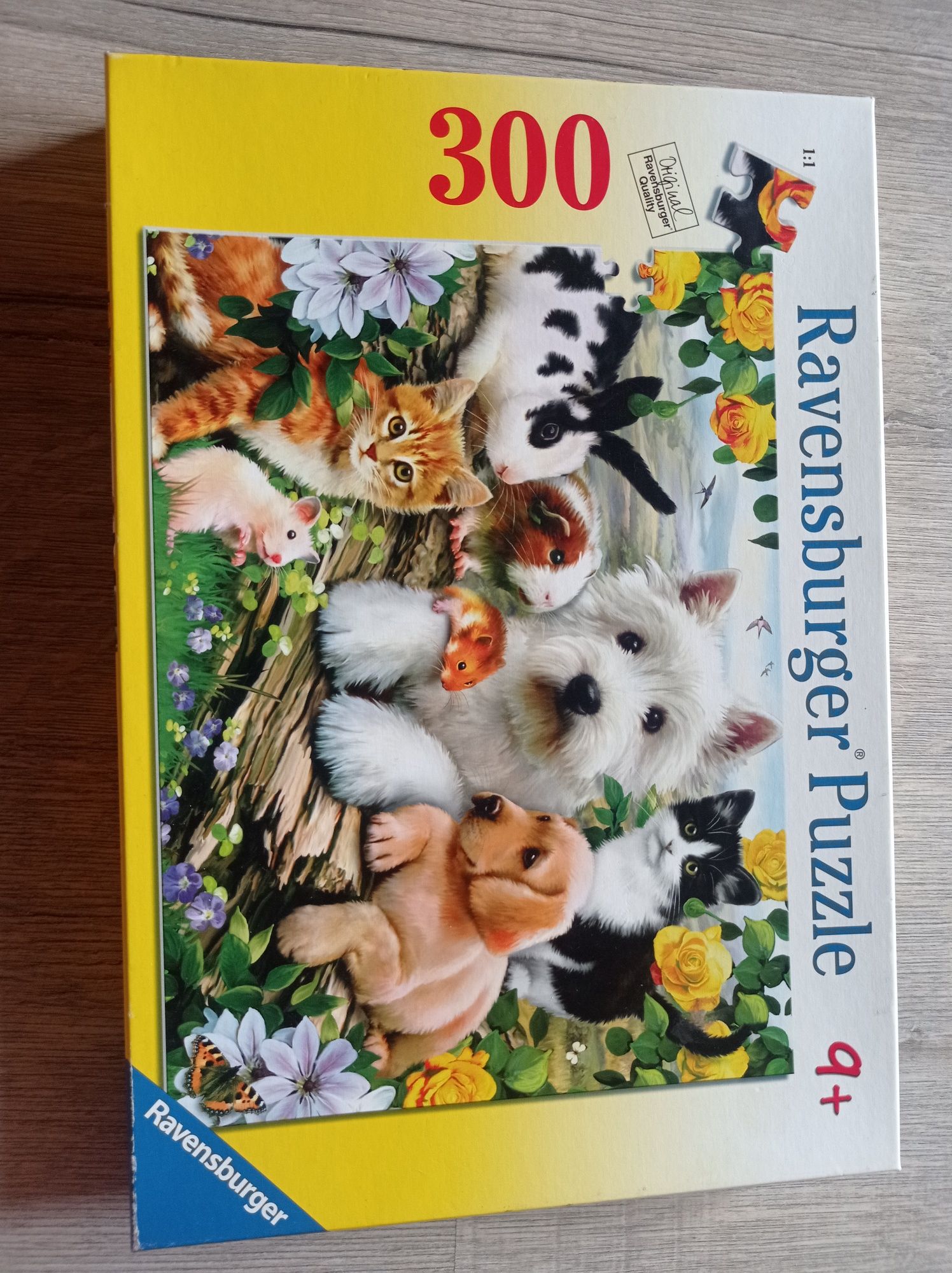 Puzzle zwierzęta domowe