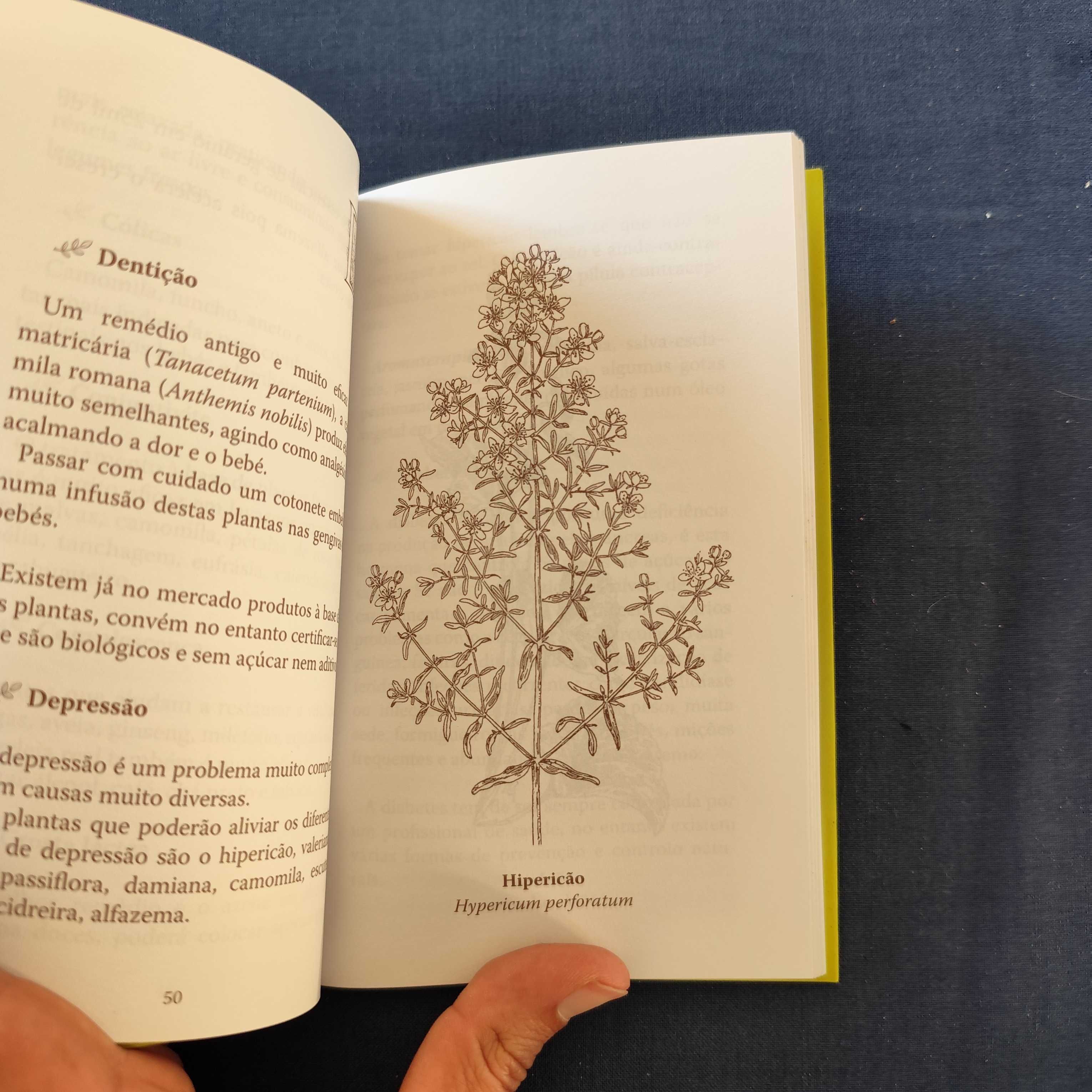 Fernanda Botelho - As Plantas e a Saúde