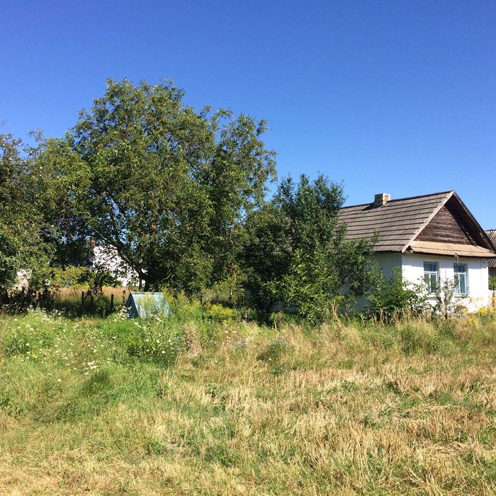 Продаж земельної ділянки під дачу.